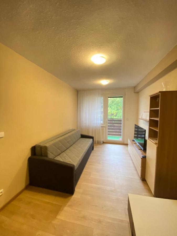 Apartman Na Kraji Lesa Všemina Екстериор снимка
